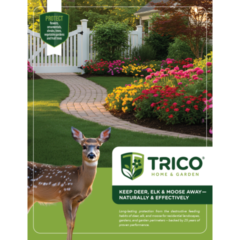 TRICO_Brochure_2025.pdf